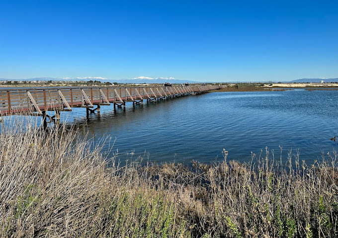 Bolsa Chica Ecological Reserve